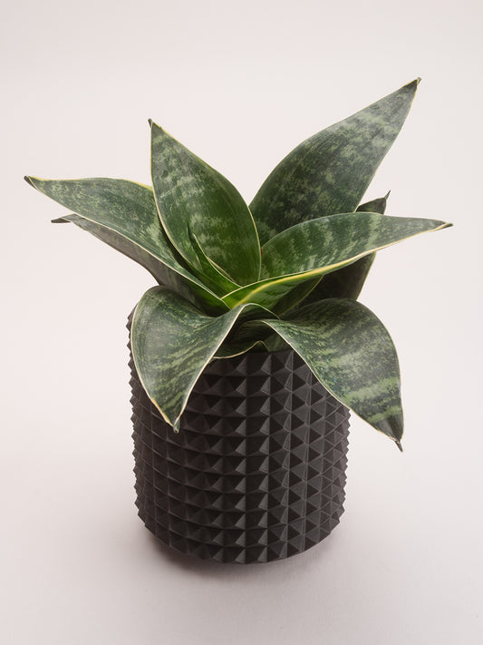 4" Studded Planter – Matte Black